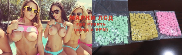 ПСИЛОЦИБИНОВЫЕ ГРИБЫ Баксан