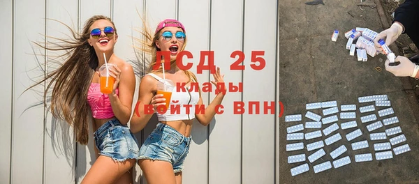 ПСИЛОЦИБИНОВЫЕ ГРИБЫ Баксан