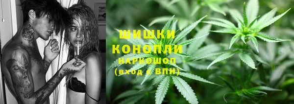 ПСИЛОЦИБИНОВЫЕ ГРИБЫ Баксан